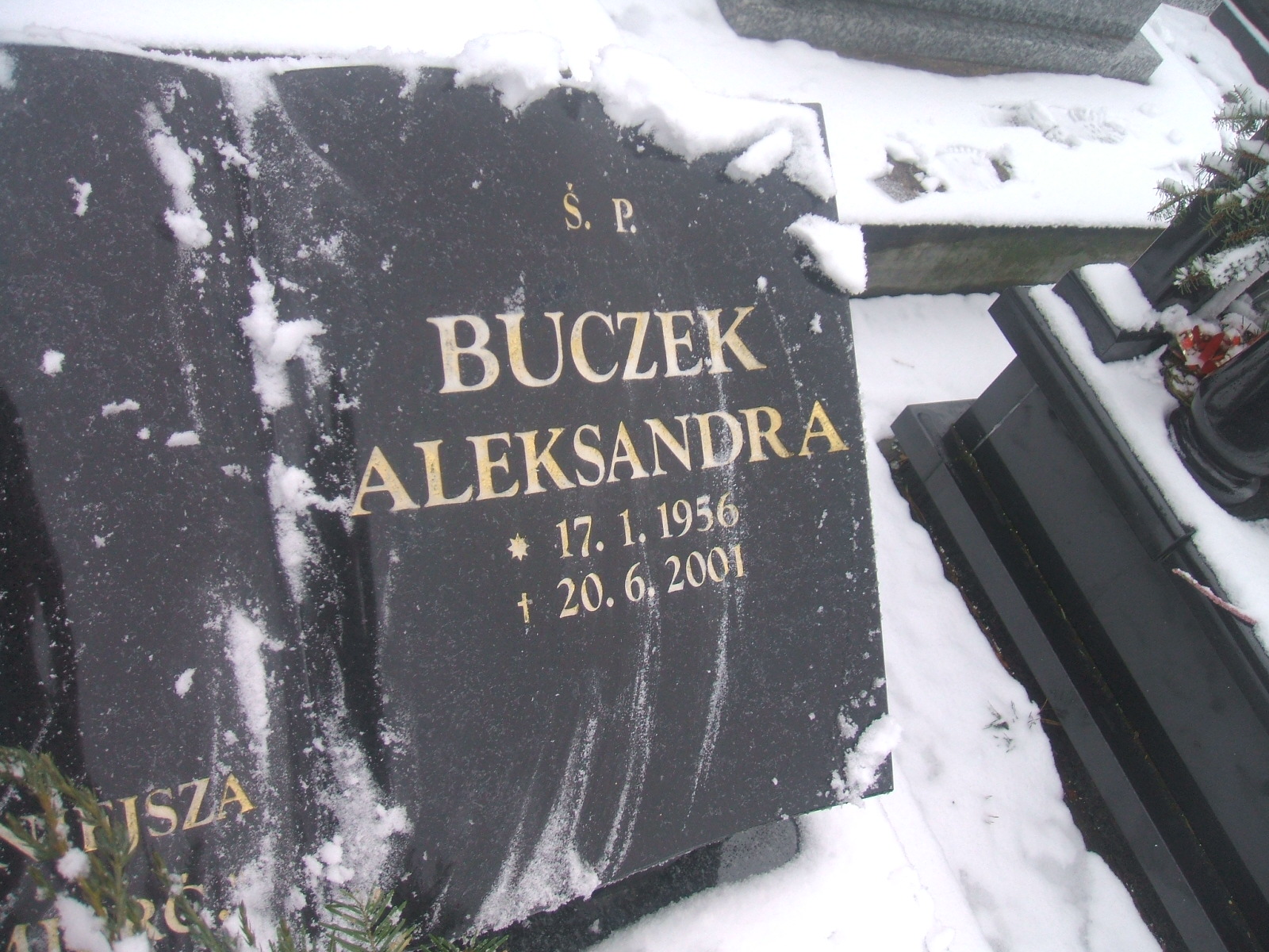 Aleksandra Buczek 1956 Trzebinia - Grobonet - Wyszukiwarka osób pochowanych