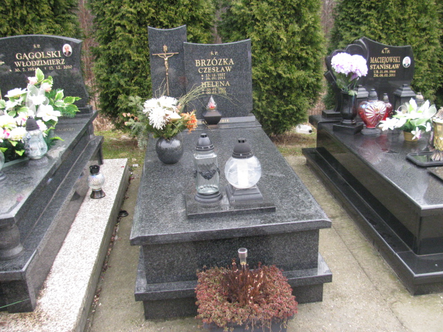 Grób Stanisław Brzózka