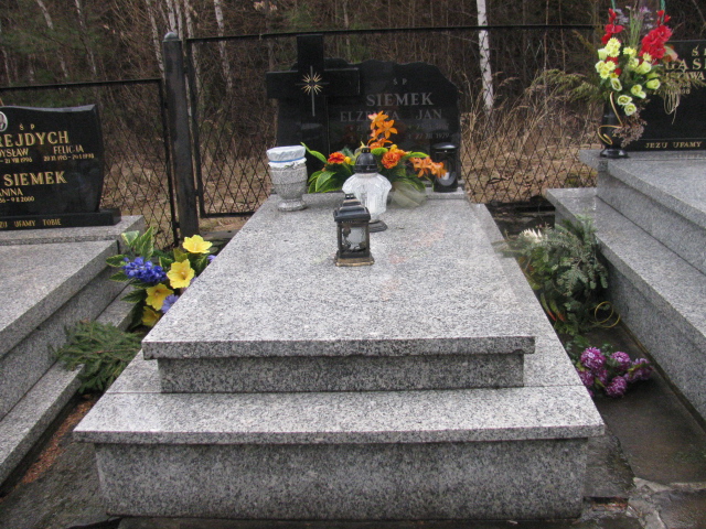 Grób Jan Siemek