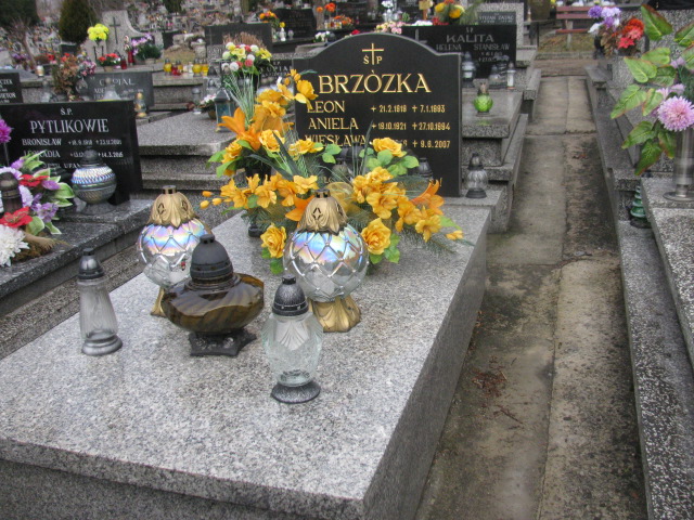 Grób Wiesława Brzózka